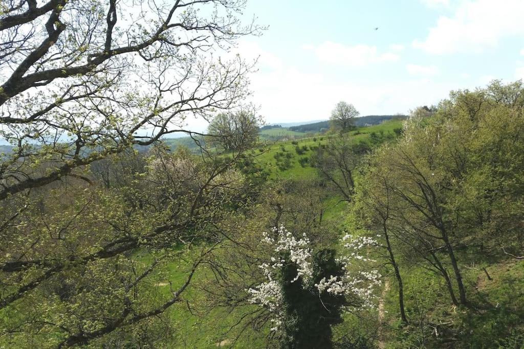 Les Cadichons De La Grange Saint-Peray